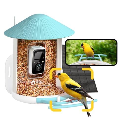 Netvue Birdfy Feeder