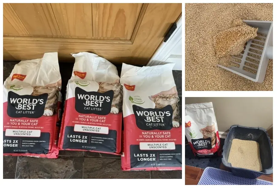 Corn Cat Litter
