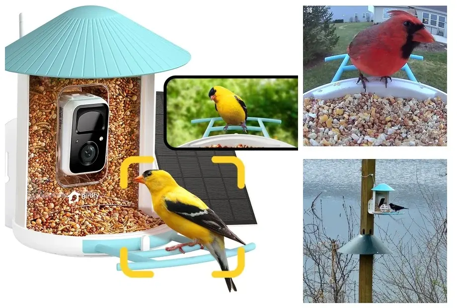 Netvue Birdfy Feeder